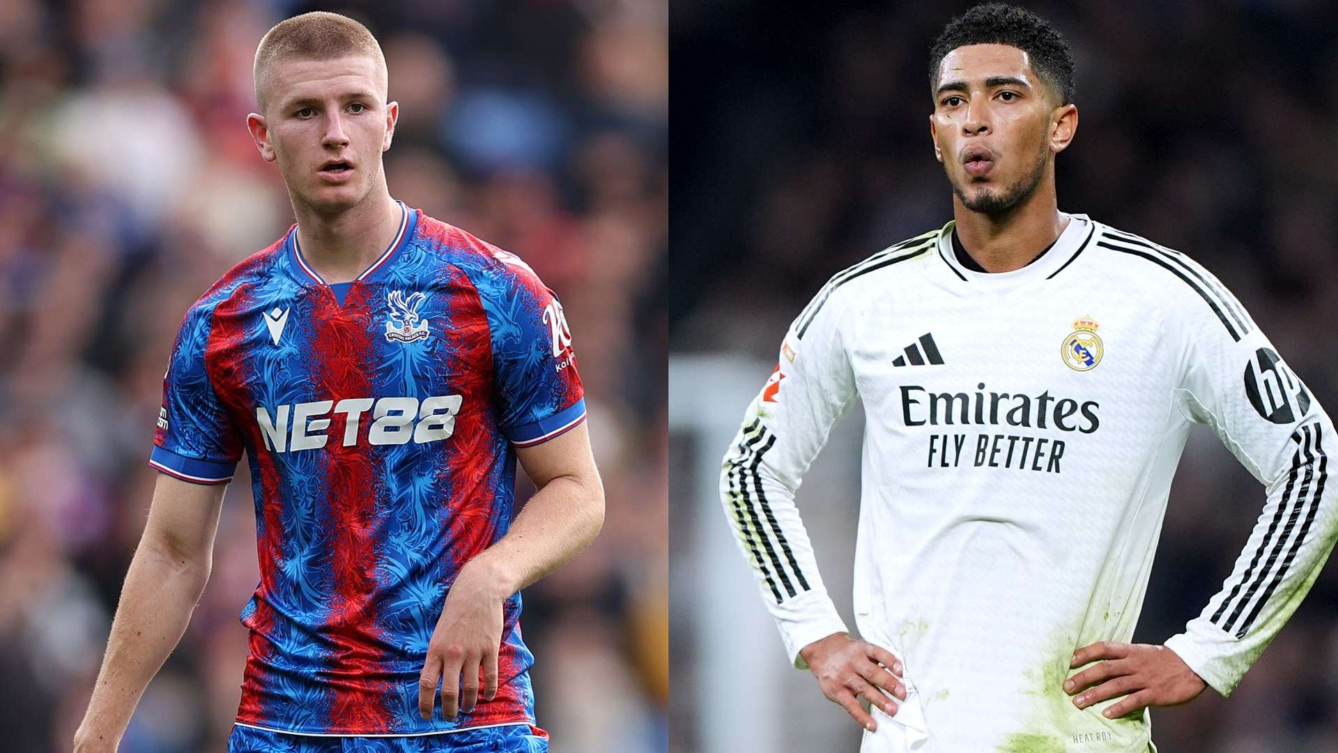 的支持是无 的支持是无