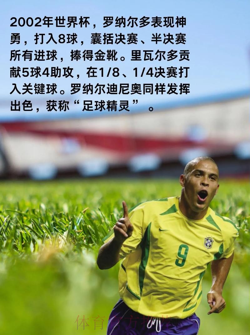 世界杯比分与球星表现的全面解析